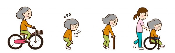 고령자의 건강상태 변화 모습. (좌측부터) 건강한 상태 -예비 노쇠 단계-노쇠 단계-요개호 상태. [그림] 日meitoh. 